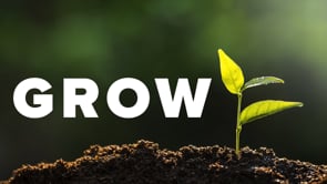 5.18.2025- GROW: Owe Nothing