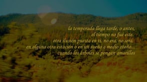 Amarillo - Trailer