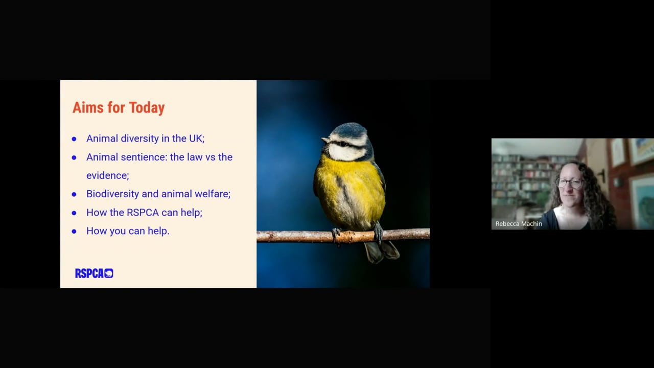 The UK's Hidden Animals: Are We Truly Here For Every Kind? (15.05.25)