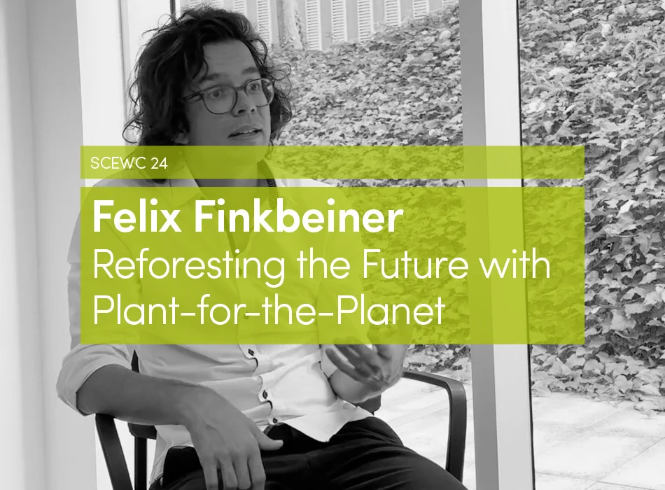 fly catcher plant Venus Fly Trap Plant