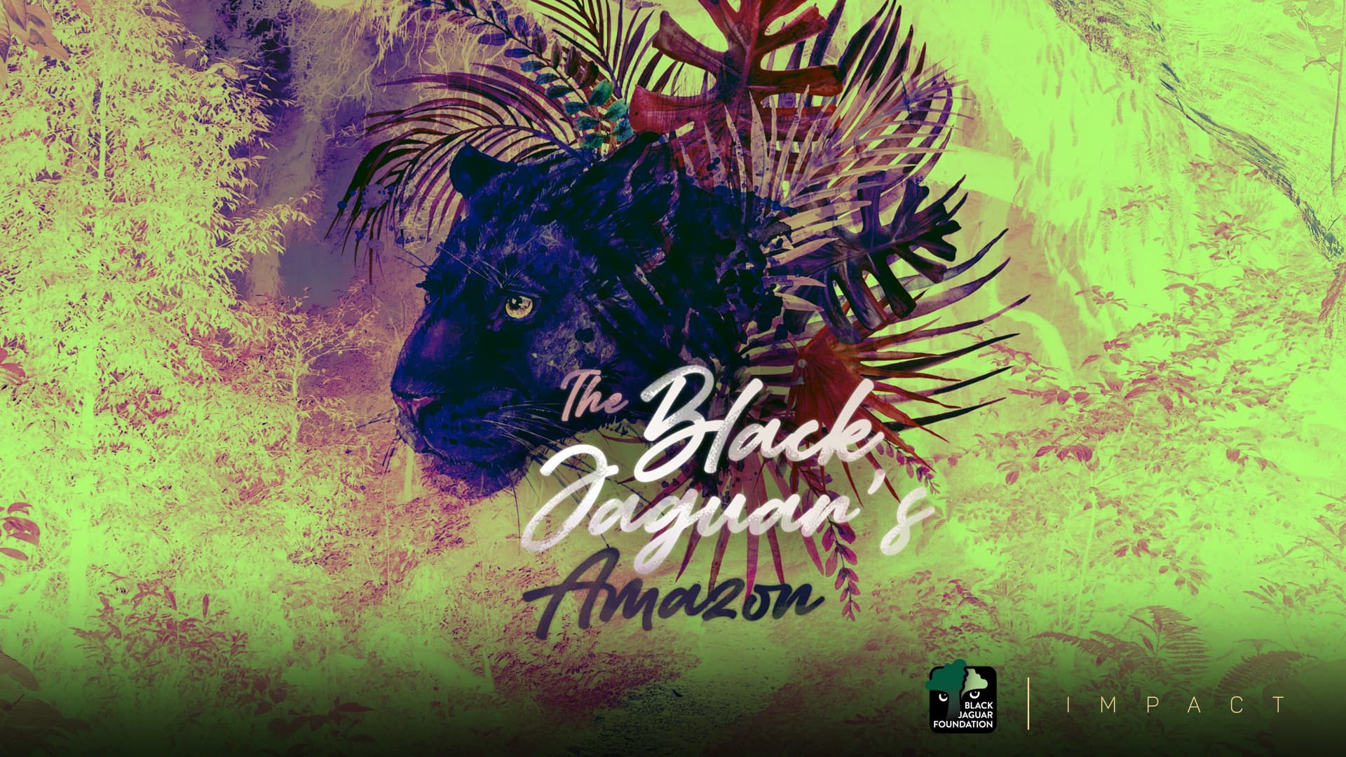 The Black Jaguar's Amazon