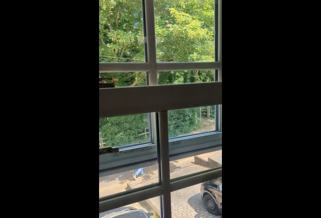 Video 1: 
