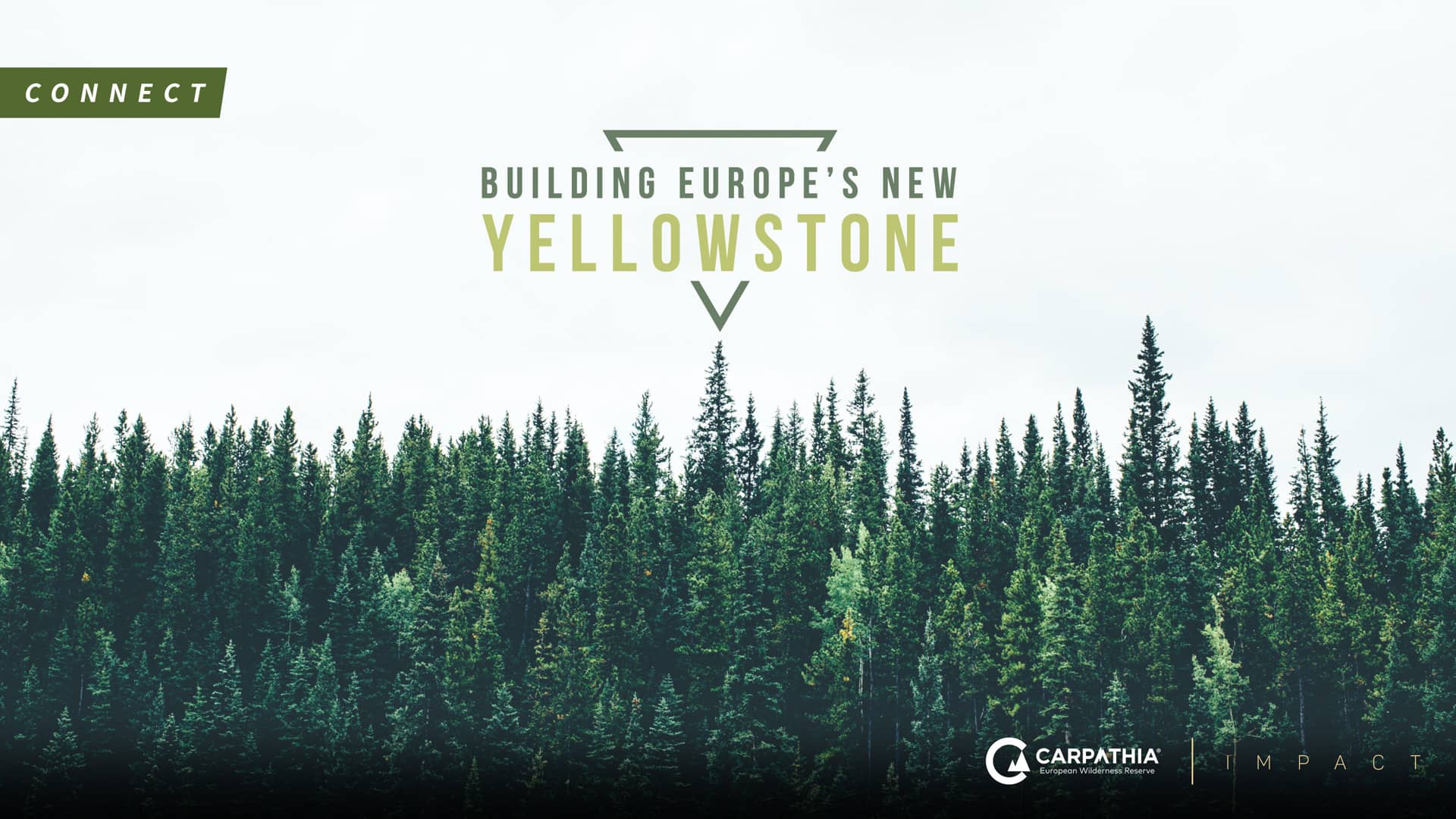 Building Europe's Yellowstone