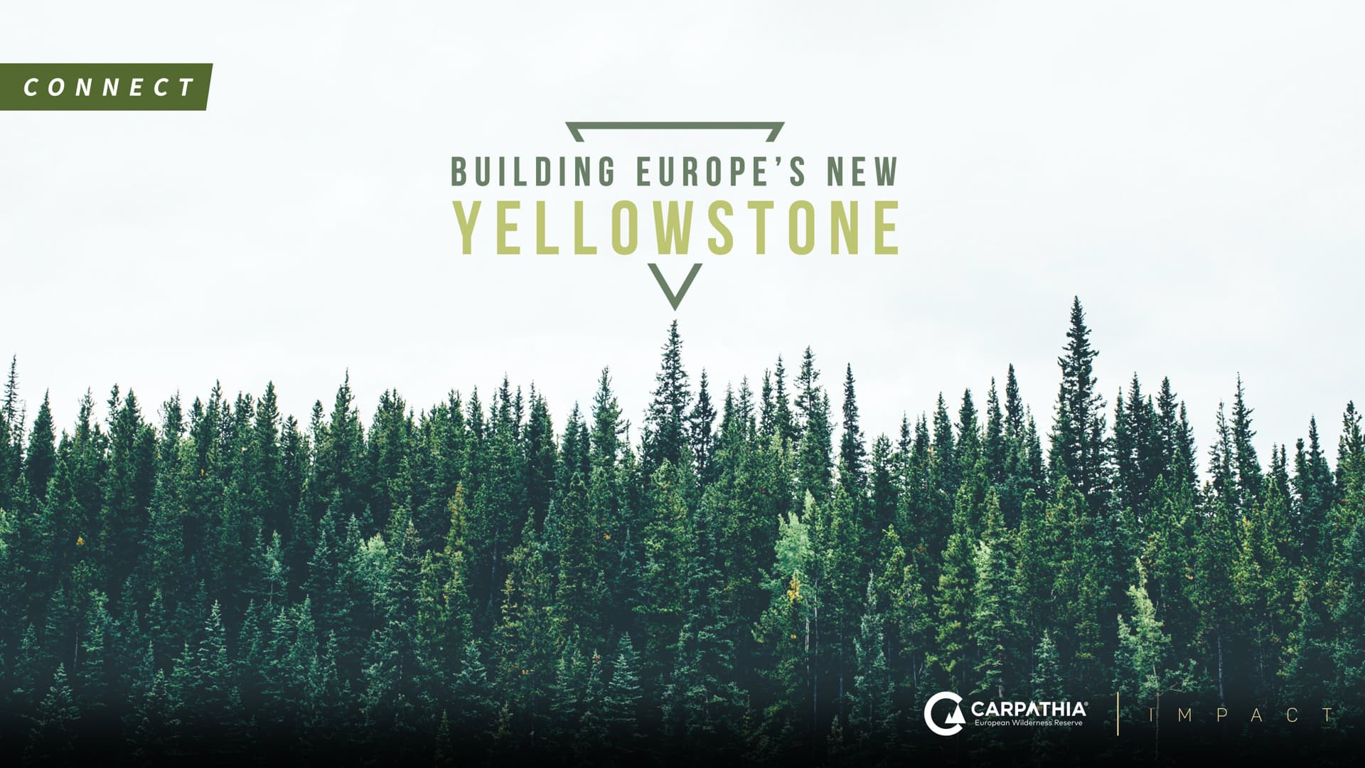 Building Europe's Yellowstone