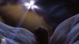 God is Waiting for You with Open Arms
