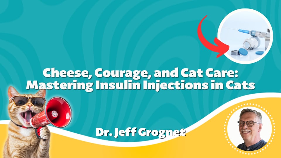 Cheese, Courage, and Cat Care: Mastering Insulin Injections in Cats
