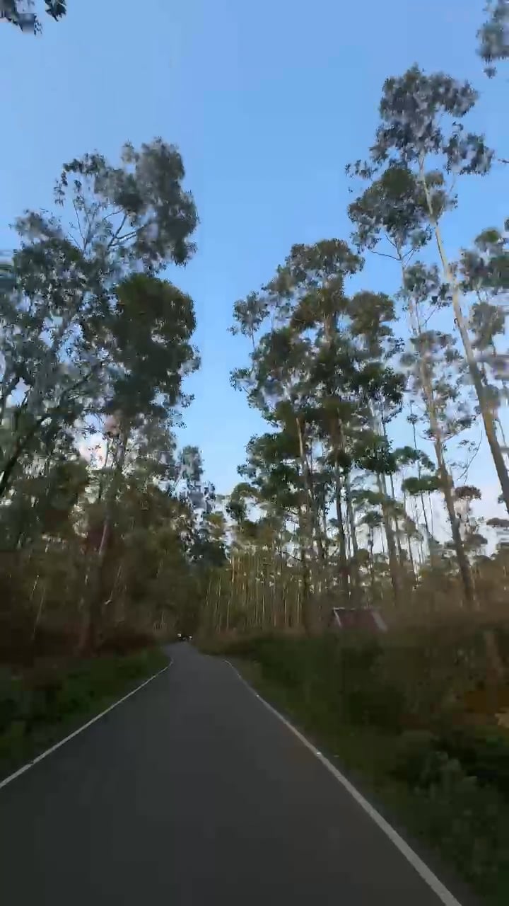 https://i.vimeocdn.com/video/2017844720-61ddfdf353b64340cf5f8709e34f19afcd02565679f80d715372c785d81ba58e-d