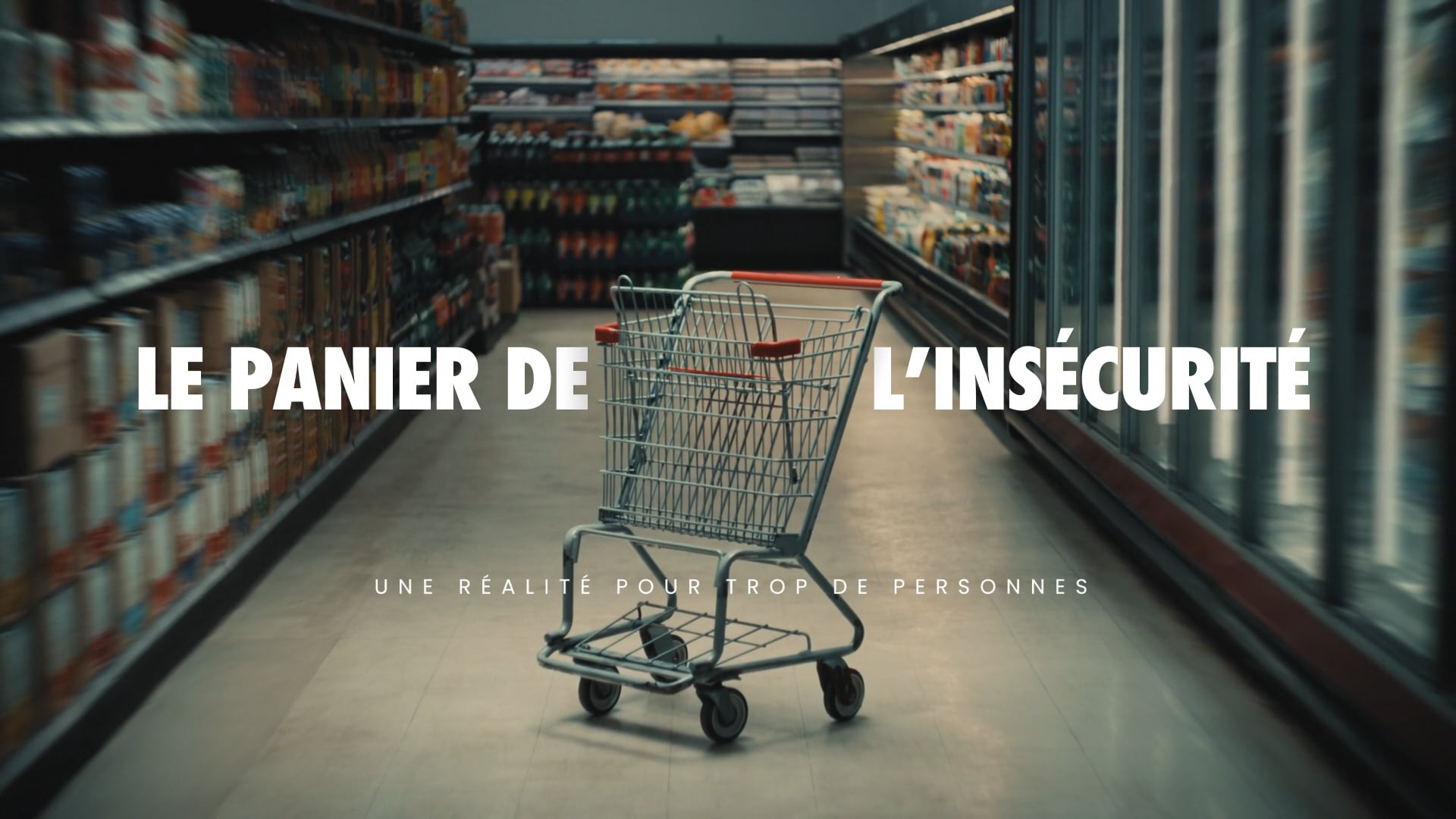 Le panier de l’insécurité x Moisson Montréal