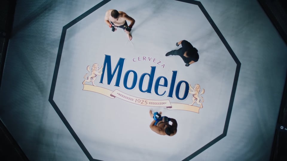 Modelo | The Mark of a Fighter