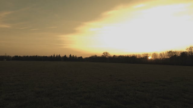 Fred Coince - The Ghost Who Dances Alone