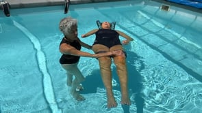 Spinal extension