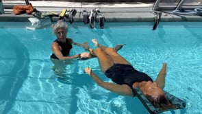 betw legs extension and flexion