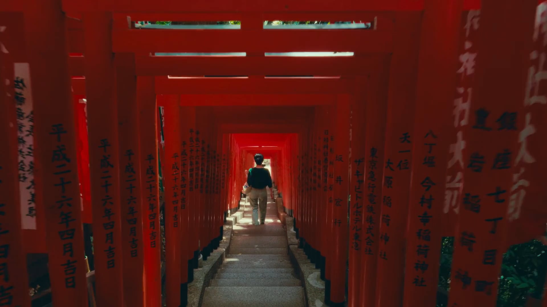 Nakasendo, Monte Fuji y Gion Matsuri