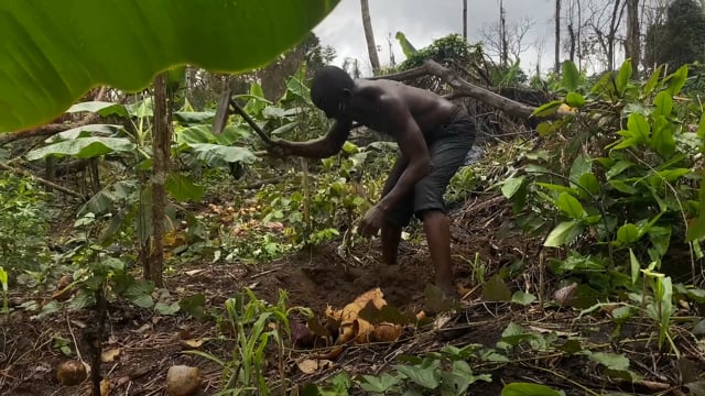 Youmi s’inquiète - Vidéo ePOP
