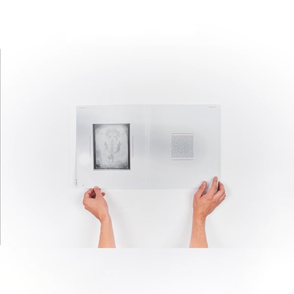 Personal / Posthumanism & Gans Theory