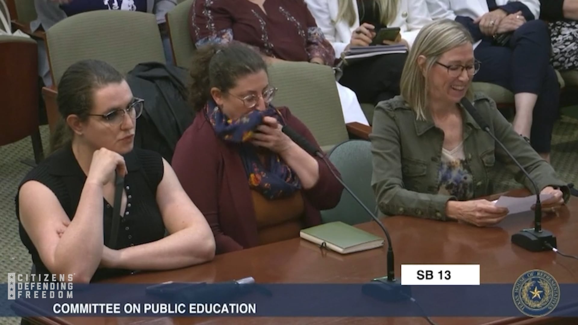 Citizen Testimony Example - SB 13 Hearing