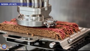 3D Printed Meat?