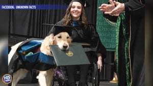 Service Dog Gets Diploma