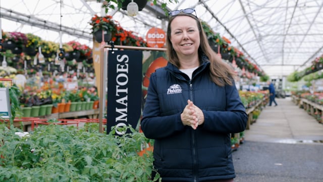 Tomato Spotlight | 5 Types + How to Grow Them Successfully