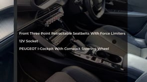 PEUGEOT 208 2020 (20)