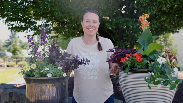 How to Design & Plant Annual Container Gardens with Spillers, Fillers & Thrillers