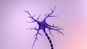 3D Liquid Ai