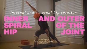 Internal and External Rotation of the Hips