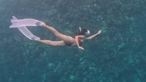 2421_Girl skin diving along coral reef with vintage oval dive mask and red swimsuit