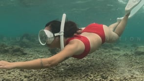 2422_Girl skin diving in red swimsuit on shallow coral reef