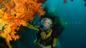 0522_Female scuba diver with vintage mask and mixed soft corals