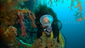 0662_scuba girl wall corals