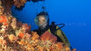 1132_Female scuba diver watching soft corals on reef