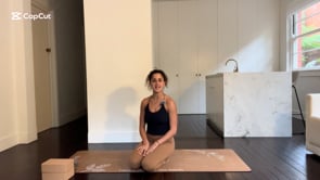 Handstand Vinyasa 67 mins