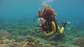 0527_Scuba diver girl on color reef
