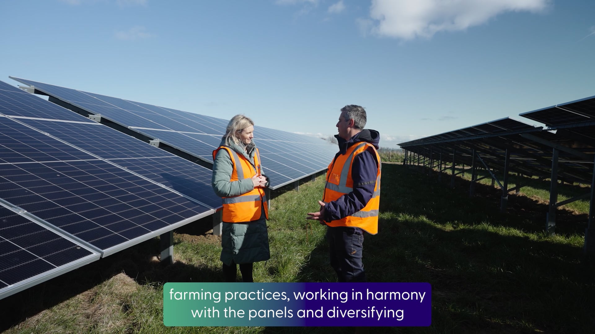 Ground-mount solar: Breathing new life into tired agricultural land Image