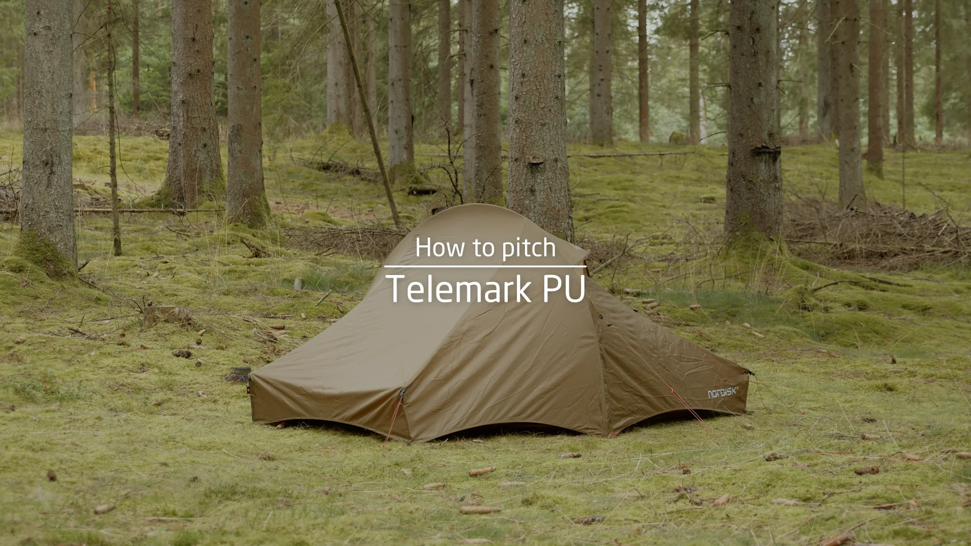 Telemark 2.2 PU (2.0) Tent - Dark Olive Green