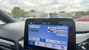 FORD FIESTA 2019 (19)
