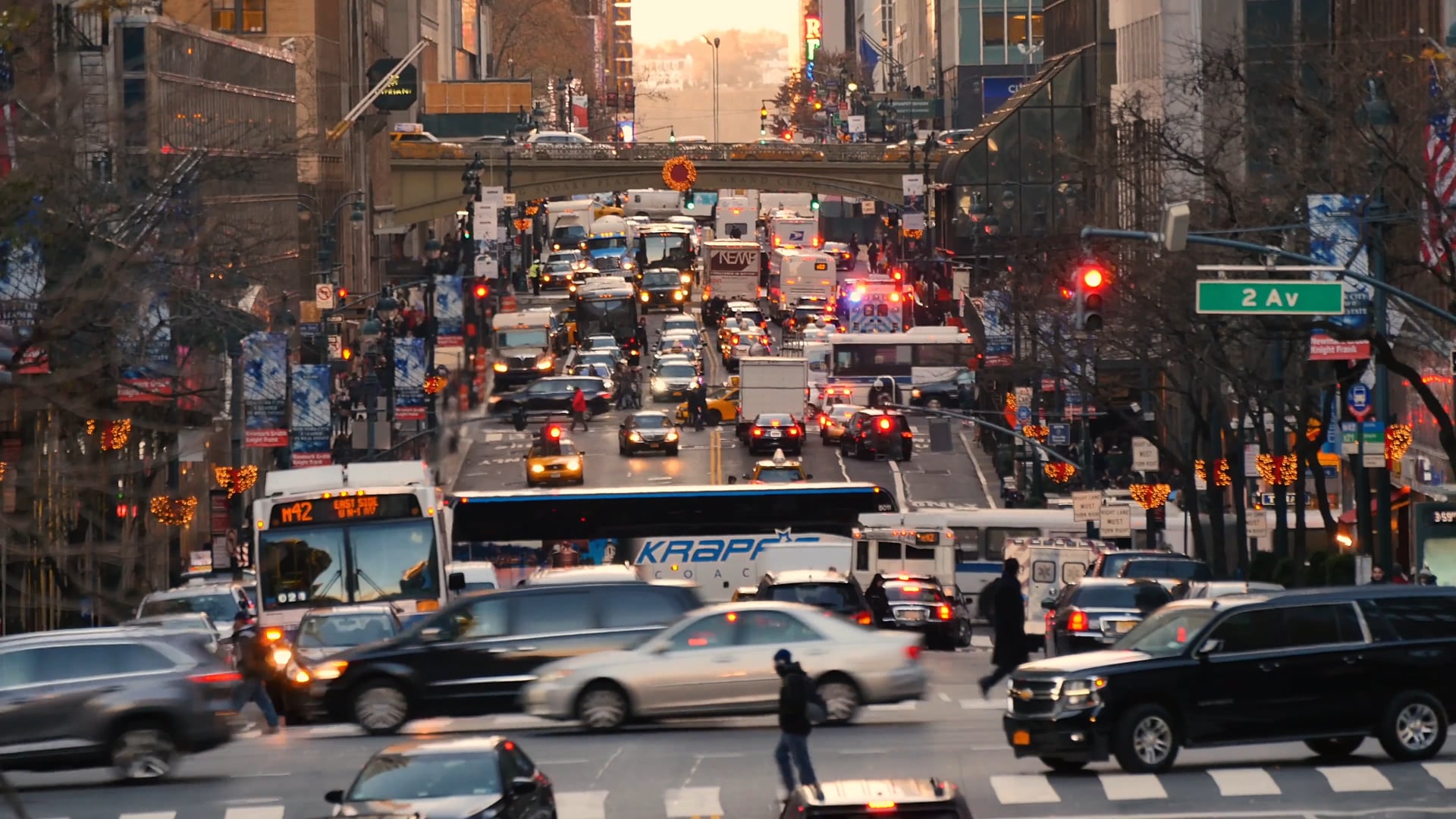 The Wellness Revolution-Wellness Made Simple