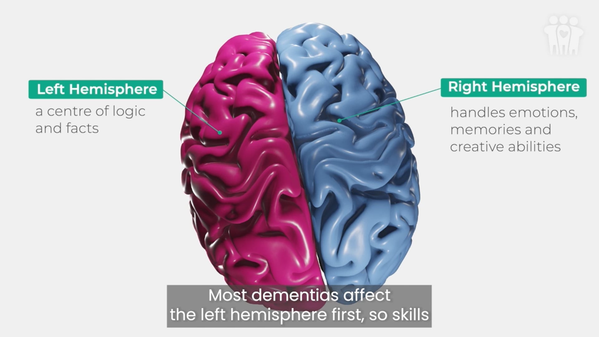 The Brain Explained