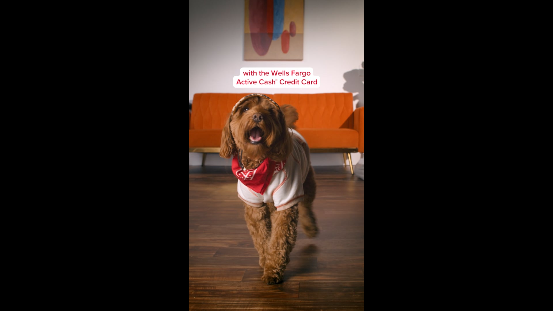 Wells Fargo, Active Cash: DogCessories