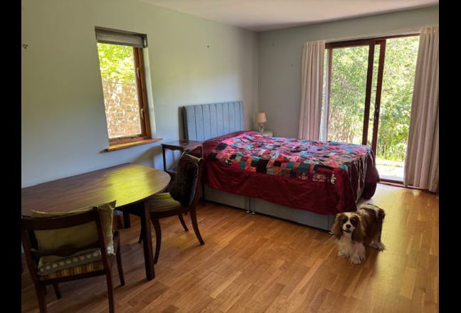 Large room with kitchenette and wet room Main Photo