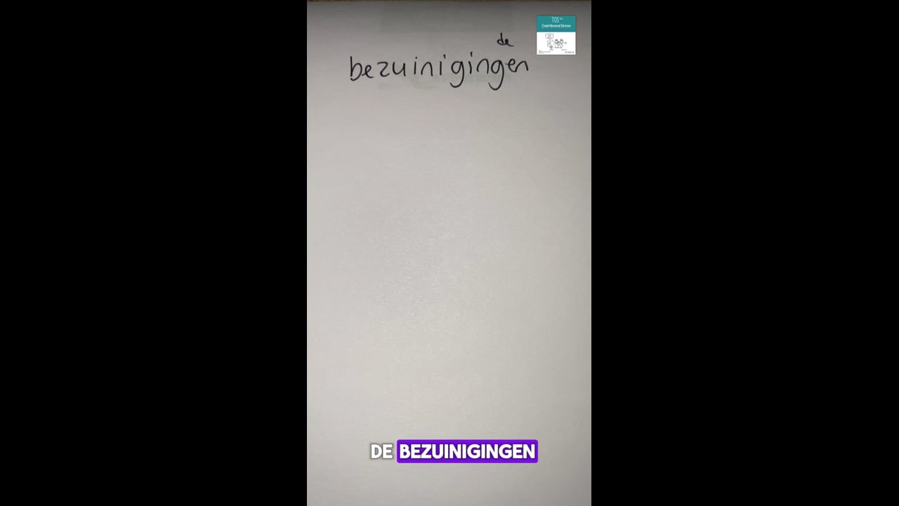 Bezuinigingen (de)