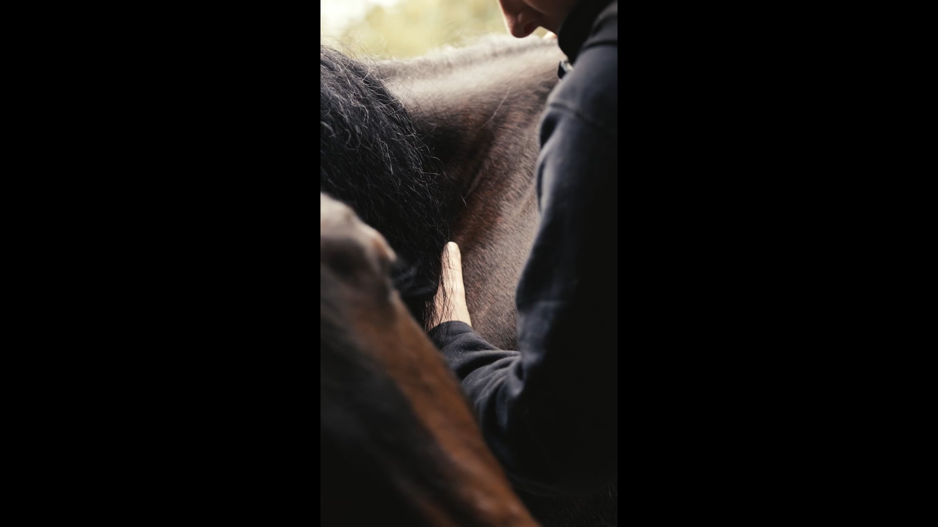 Hequiform x Janette