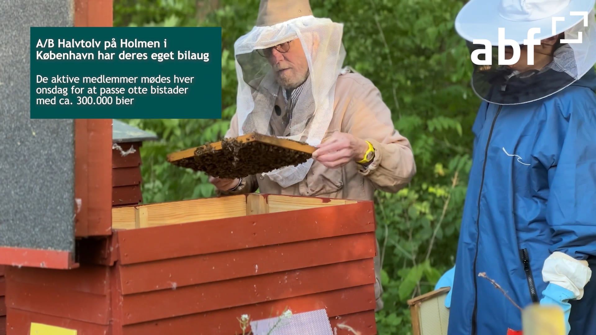 Reportage fra bilauget i A/B Halvtolv