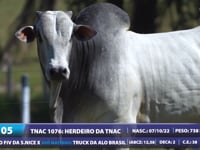 Lote 05