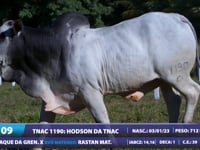 Lote 09