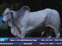 Lote 24