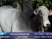 Lote 30
