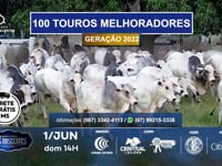Institucional<br>Grandes Criatórios