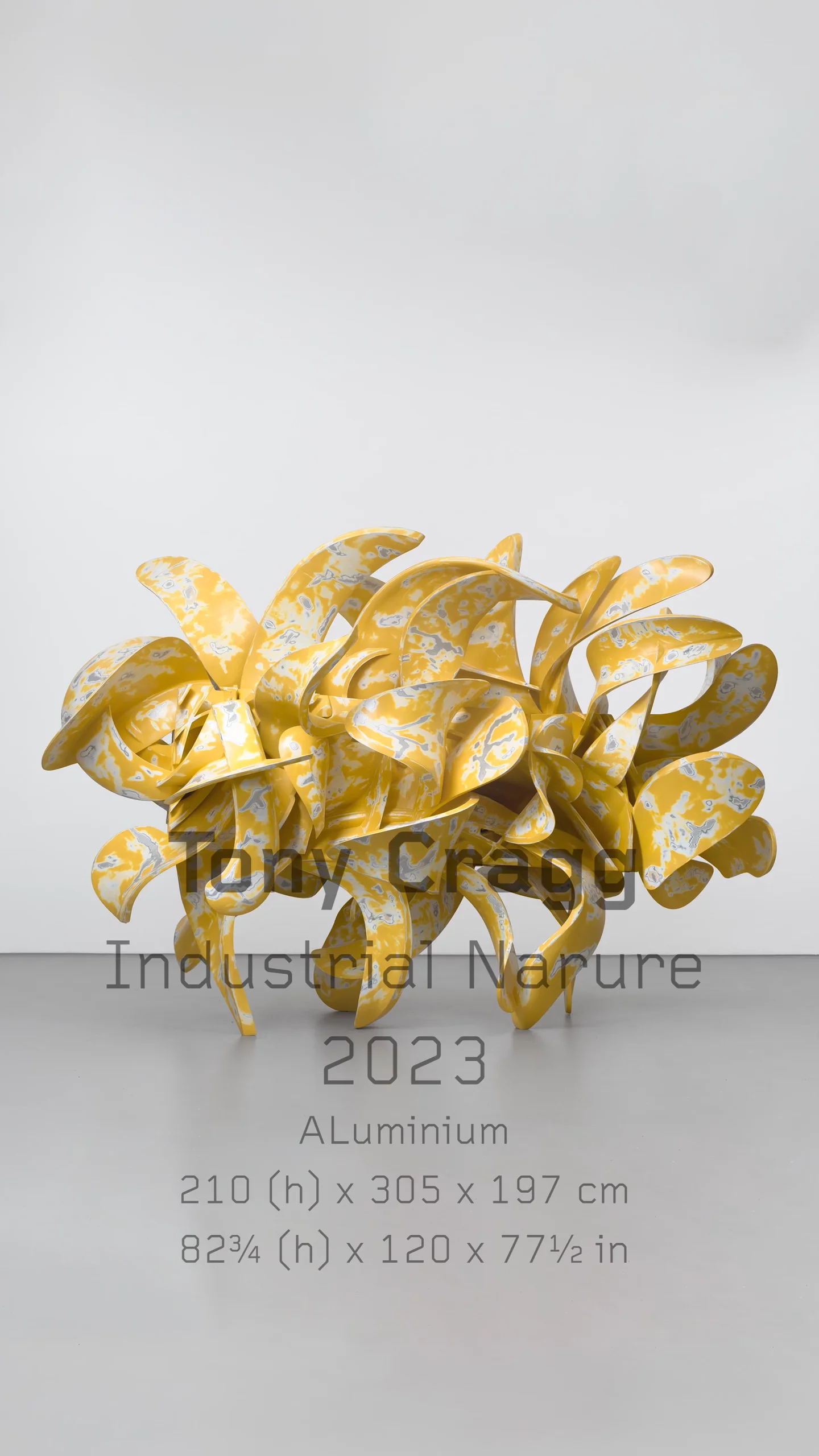 アート・デザイン・音楽 tony cragg MATERIAL THOUGHTS 00-07 tony-cragg-line-of-thought-